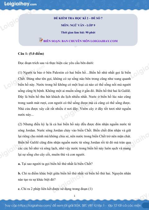 Đề ôn tập học kì 2 Văn 9 - Đề số 7